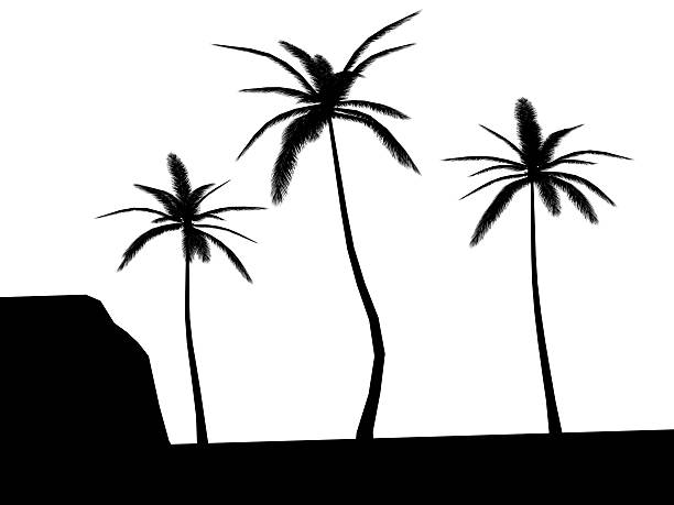 Cenário Tropical com palmeiras silhueta - foto de acervo