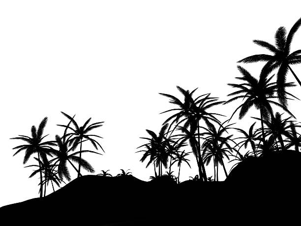 Scène tropicale avec palmiers Silhouette - Photo