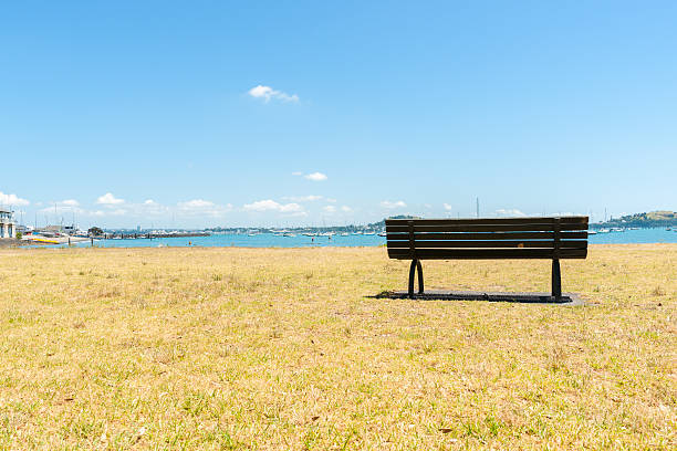 Empty bench seat in the bay. Summer day view of bay, Orakei Auckland.