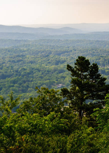 istock Hot Springs National Park 503140502