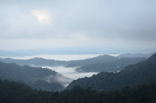 istock Sea of mist on the mountain. blur background 503141214