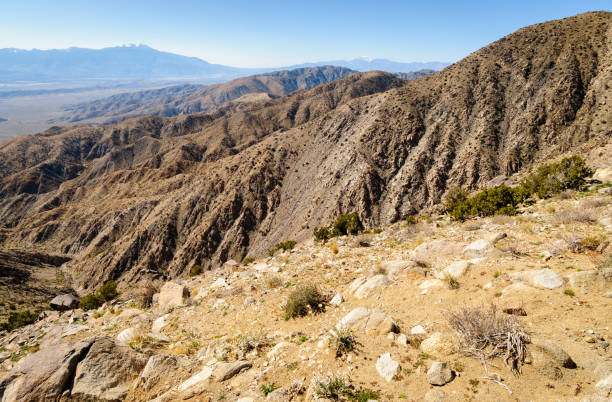 istock Joshua Tree National Park 503142250