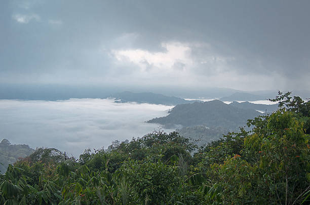 istock Sea of mist on the mountain. blur background 503142532
