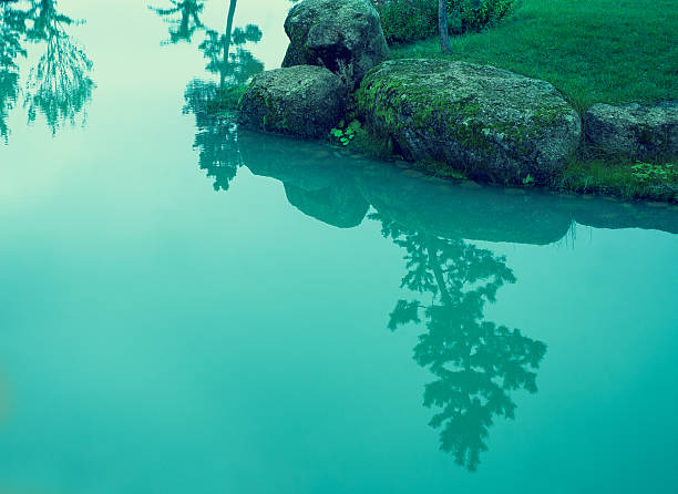 autumn  Japanese pond 