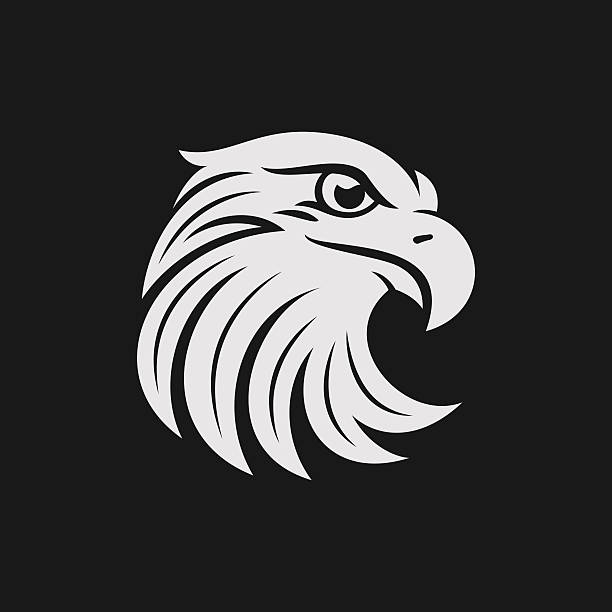 Eagle head icon in one color. Stock vector illustration. Eagle head sign or icon in one color. Stock vector illustration. falcon bird stock illustrations