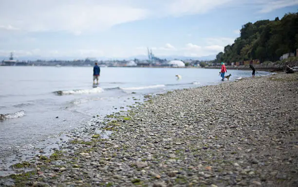 This image shows a beach scene with the 2 people and a dog in the background out of focus and unrecognizeable.