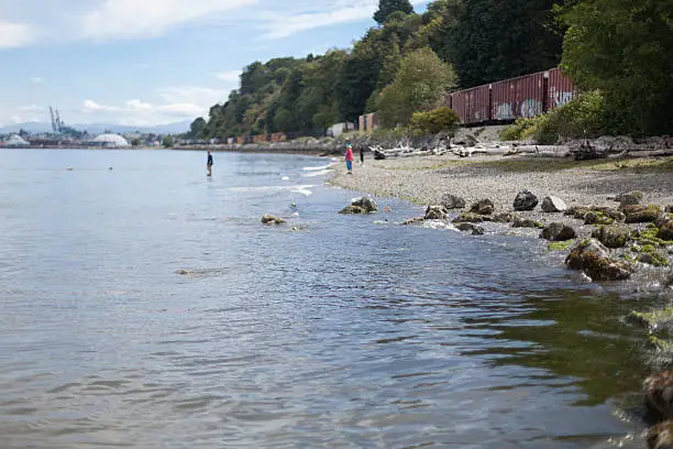 This image shows a beach scene with the 2 people and a dog in the background out of focus and unrecognizeable.