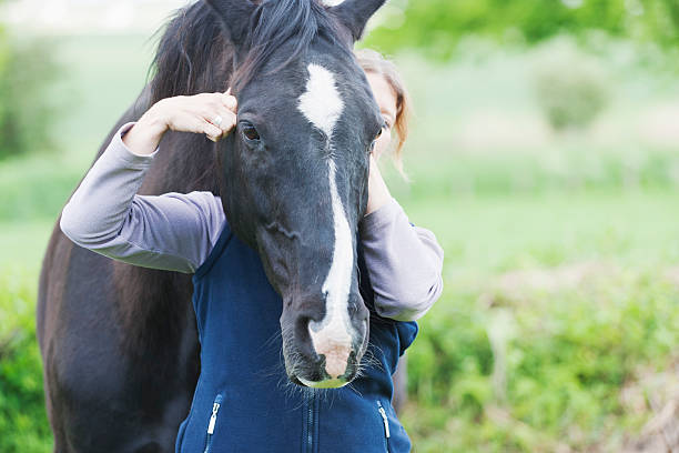 istock Female veterinarian performing chiropractics 503148175