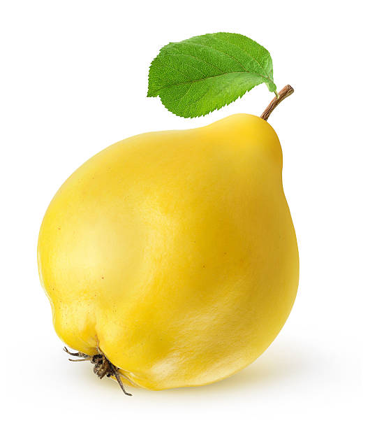 marmelo frutas isolado a branco - quince imagens e fotografias de stock