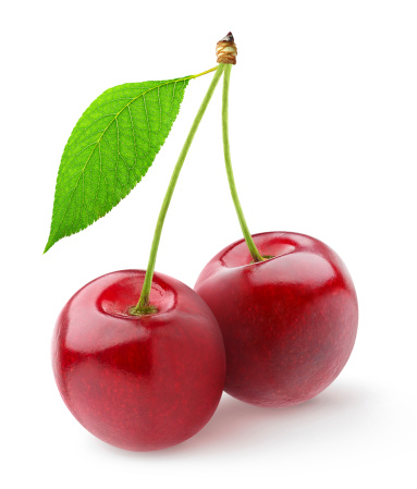 Two sweet cherries isolated on white.