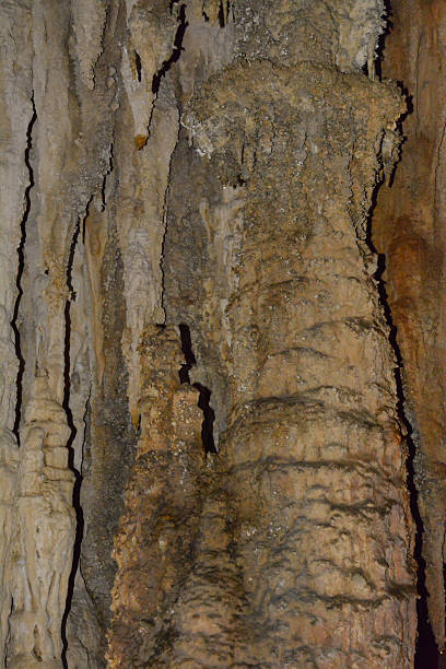 pared de piedra caliza en la cueva cubierto con dripstone - dripstone fotografías e imágenes de stock