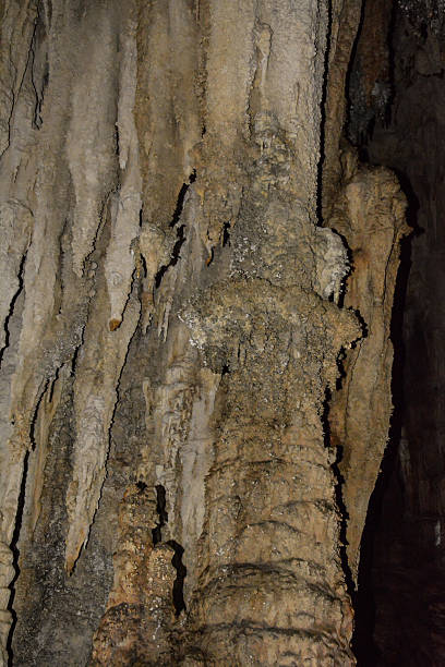 pared de piedra caliza en la cueva cubierto con dripstone - dripstone fotografías e imágenes de stock