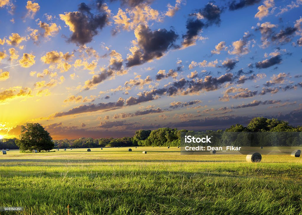 Hay Bales bei Sonnenaufgang - Lizenzfrei Texas Stock-Foto