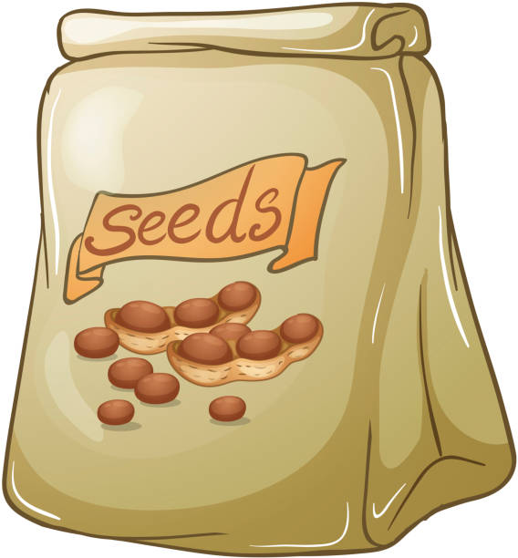 ilustrações de stock, clip art, desenhos animados e ícones de pacote de sementes de noz - hardbound
