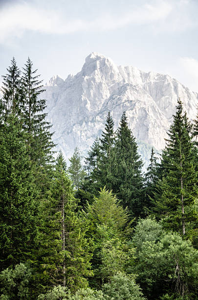 istock Triglav National Park ,Slovenia 503151323