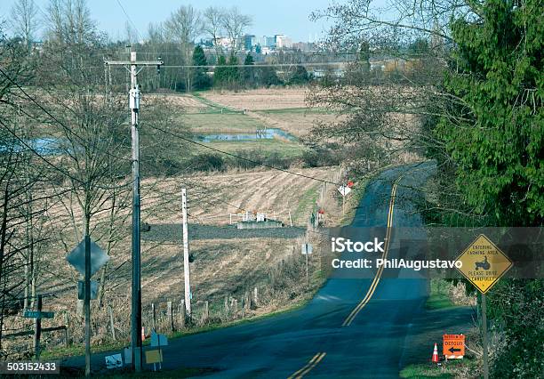 Farmland In Valley Near City Of Everett Wa Stock Photo - Download Image Now - Washington State, Everett - Washington State, Road