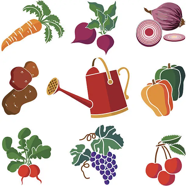 Vector illustration of produce from the garden icon set