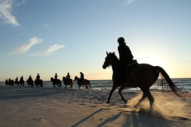 istock Horse riding on beach. 503153525