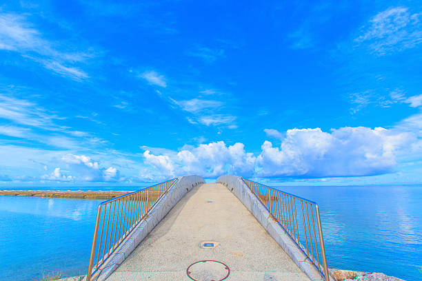 istock Arched bridge over the sea 503154213