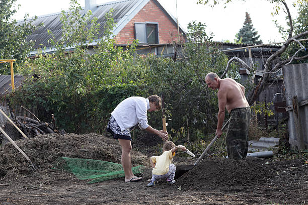 istock Family planting seedlings in spring 503156492