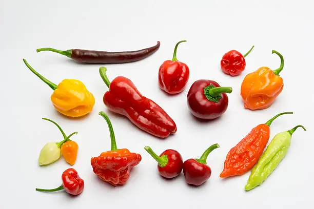 Peppers rich in capsaicin. Widely used as ingredients and additives, but they are also used as an analgesic in pathologies such as psoriasis, rheumatoid arthritis or neuralgia