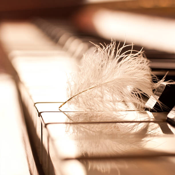 istock Feather closeup on piano keyboard 503158504