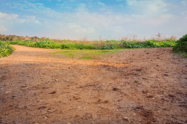 Rural area dirt road