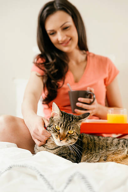 istock Happy woman having breakfast in her bedroom. 503168366