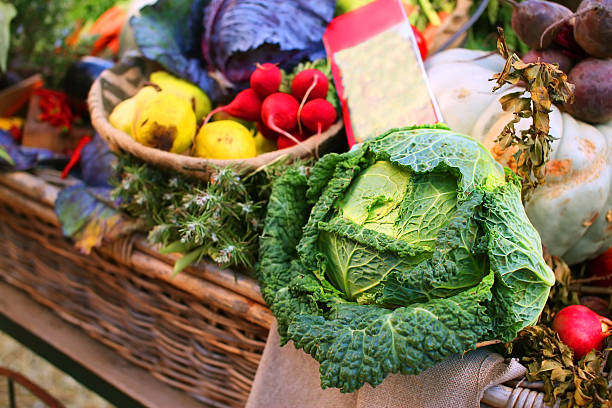 istock Cabbage with other fruits and vegetable 503172973