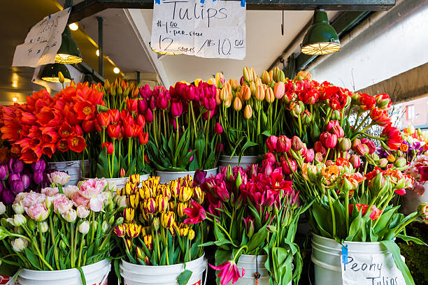 istock Tulips For Sale 503173691