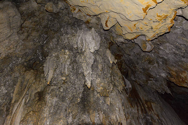 pared de piedra caliza en la cueva cubierto con dripstone - dripstone fotografías e imágenes de stock