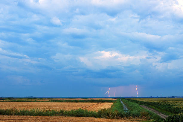 distante raios caem sobre o campo - storm corn rain field - fotografias e filmes do acervo