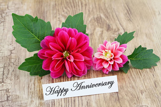 istock Happy Anniversary card with pink dahlia 503176949