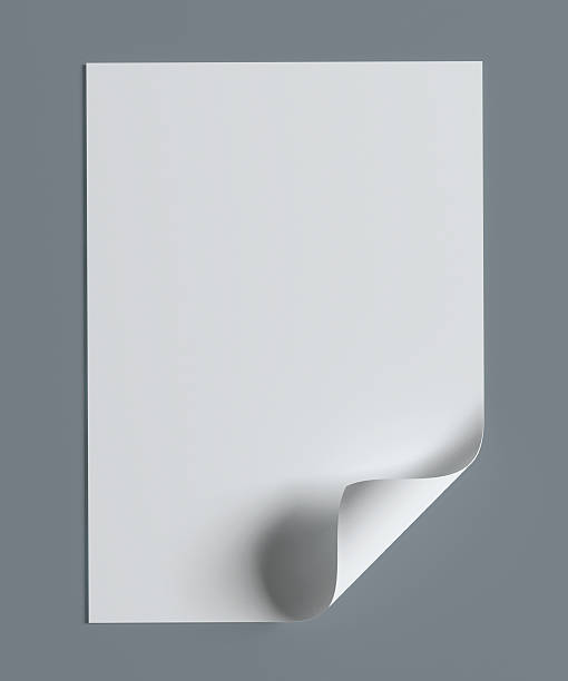istock Blank paper page with curl on grey background 503179595