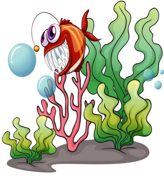 Vector illustration of Piranha under the sea near the seaweeds