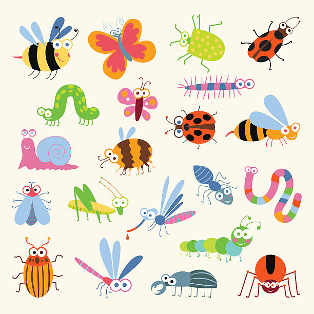 Set funny insects Set funny insects. Cartoon character. Isolated on white background. Wasp, bee, bumblebee, butterfly, worm, caterpillar, beetle, ladybug, grasshopper, fly, mosquito, dragonfly, spider, snail, ant insects stock illustrations