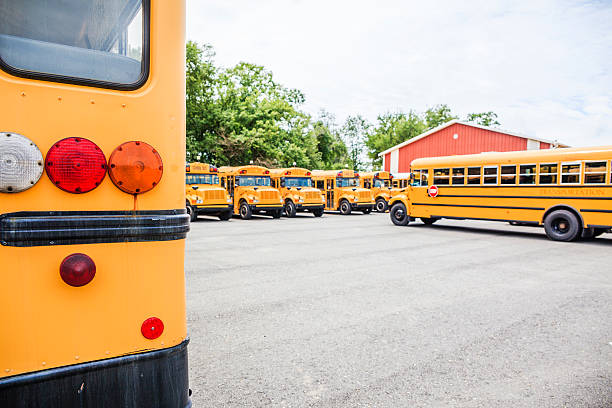 istock School buses at the summer parking 503187653