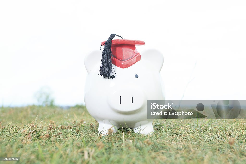 Money Bank Grass Coin Bank Stock Photo