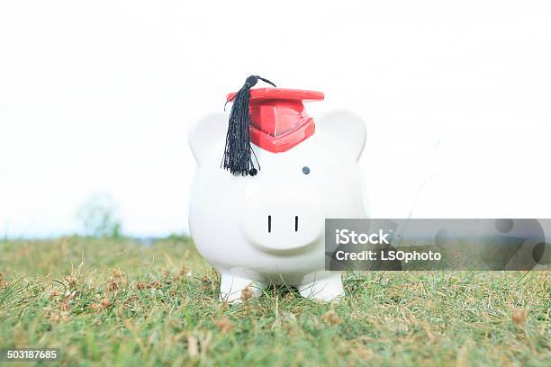 Money Bank Grass Stock Photo - Download Image Now - Coin Bank, Graduation, Grass