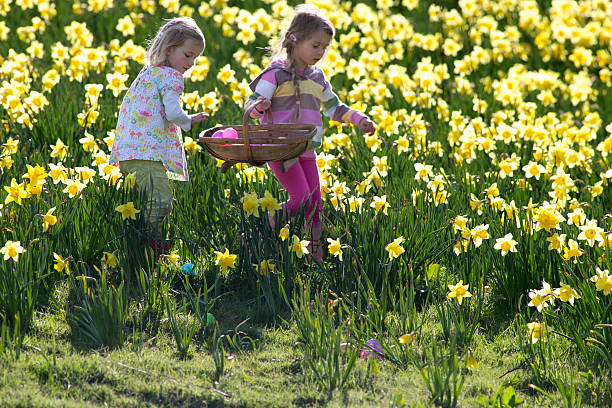 istock Easter and Field of Daffodiles 503188013