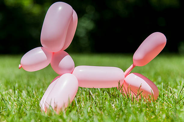 Balloon Dog stock photo
