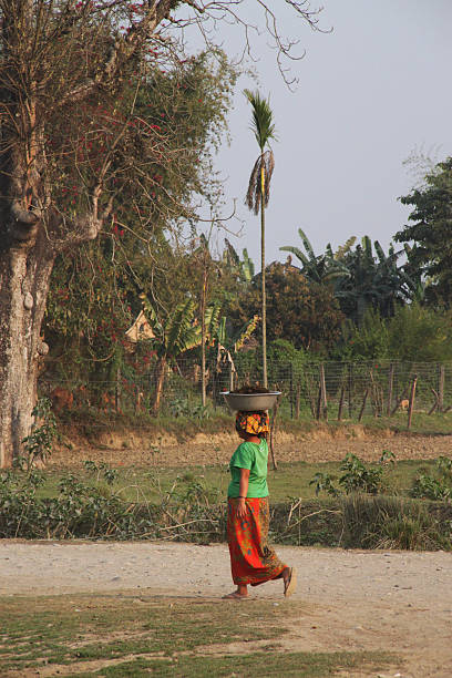 Nepal: Woman Carries Bowl on Head Bharatpur, Nepal - March 16, 2011: A Nepalese woman carries a bowl on her head as she walks along the Budhi Rapti River in the Chitwan National Park. chitwan national park photos stock pictures, royalty-free photos & images