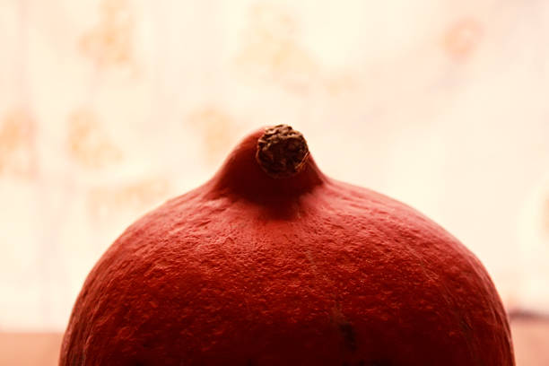 istock Hokkaido Pumpkin 503189466