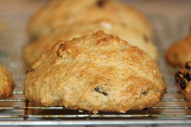 istock Homemade rock buns on cooling rack close up 503190668