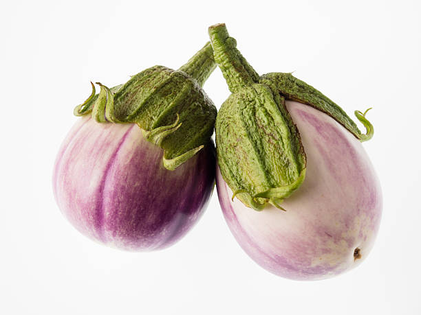 délicieux aubergine - italian eggplant photos et images de collection