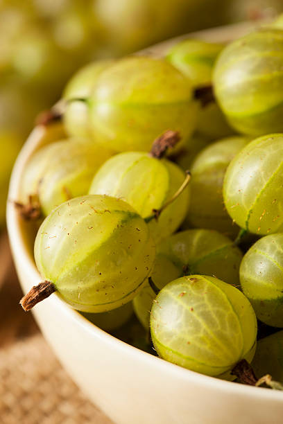 istock Organic Raw Green Gooseberries 503191303