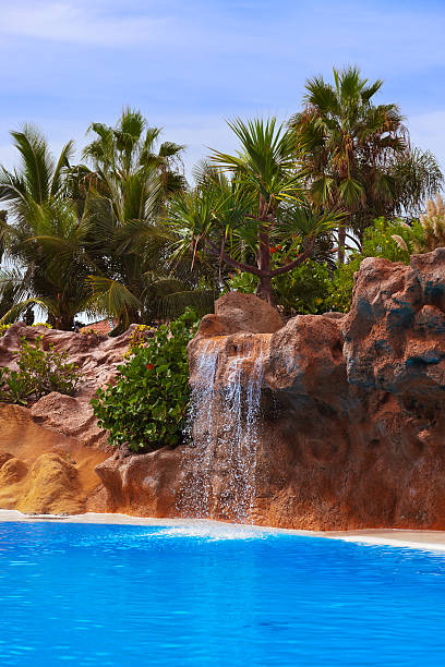 istock Waterfall in park at Tenerife Canary 503191730