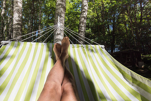 resting feet in a hammock surrounded by a forest of birches