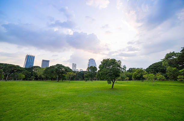 istock Green park in City with dramatic sky 503192220