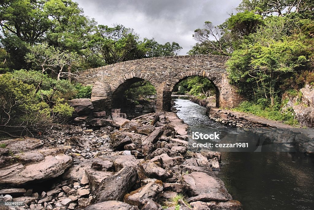 Ponte nel Parco Nazionale di Killarney - Foto stock royalty-free di Ambientazione esterna